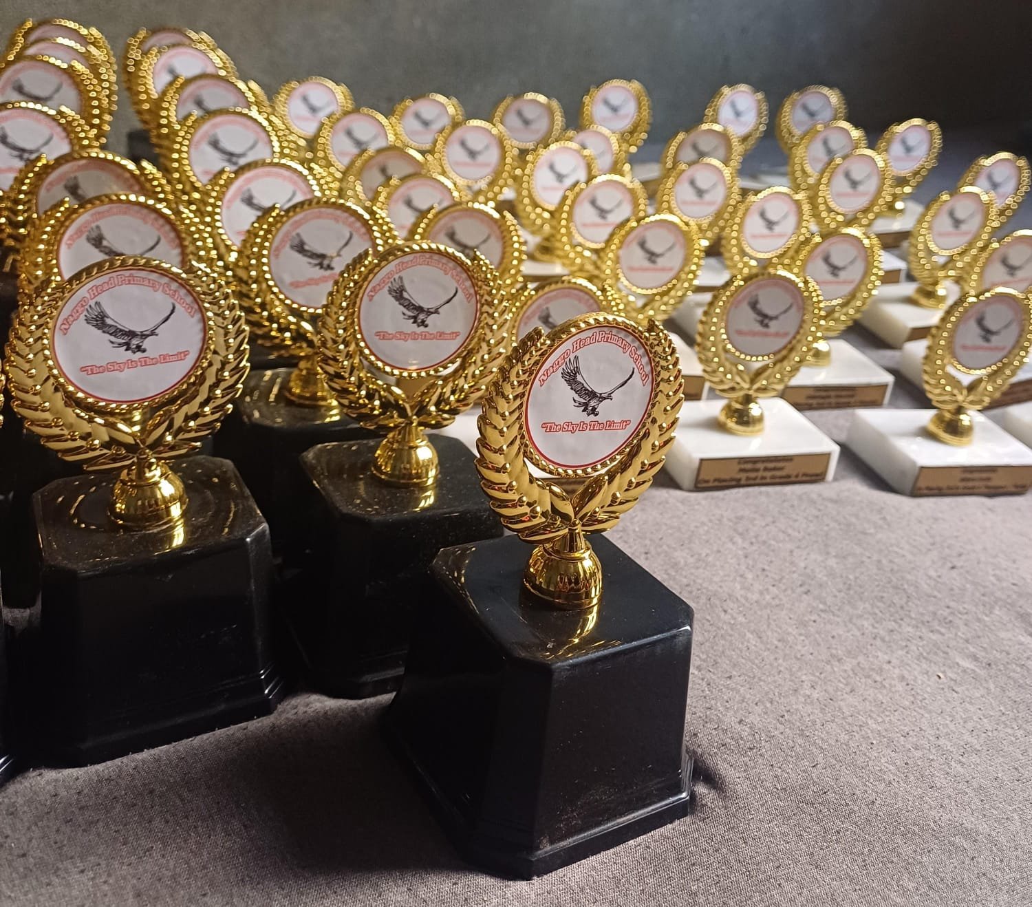 WhatsApp Image 2025-11-04 at 8.01.55 PM (5)